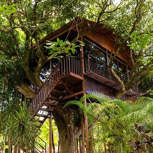 Hotel Heliconias Nature Inn & Hot Springs